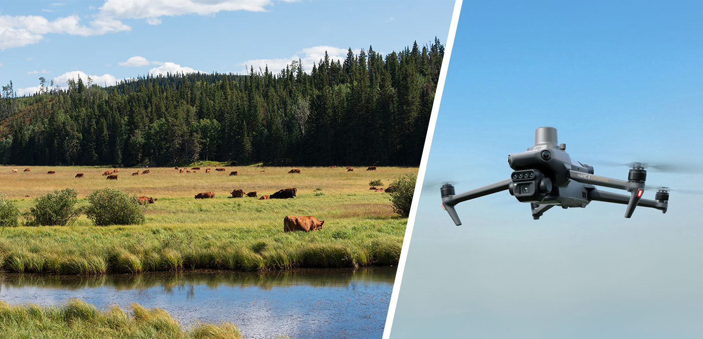 Check Your Herd with a Drone